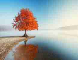 网﻿站‌资﻿讯​监﻿控‍工﻿具‍